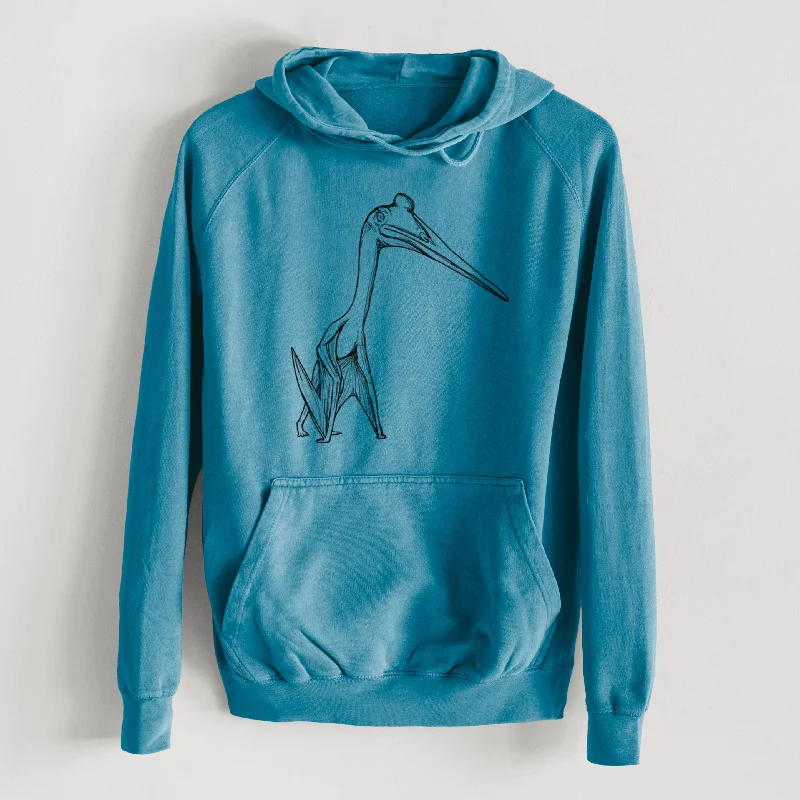 Longline HoodiesQuetzalcoatlus Northropi  - Mid-Weight Unisex Vintage 100% Cotton Hoodie