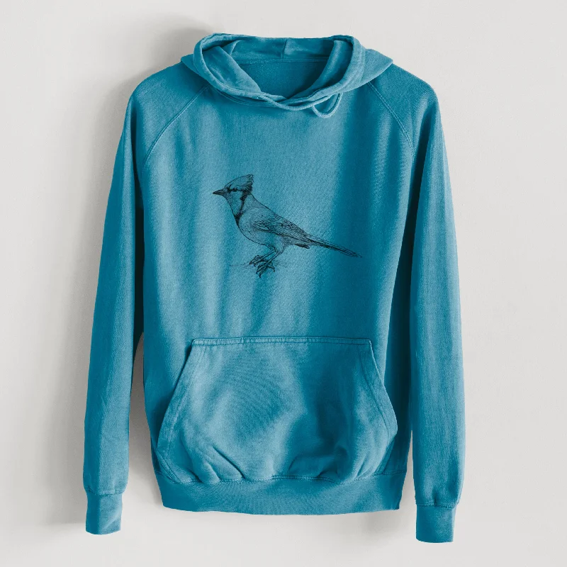 Punk SweatshirtsBlue Jay - Cyanocitta cristata  - Mid-Weight Unisex Vintage 100% Cotton Hoodie