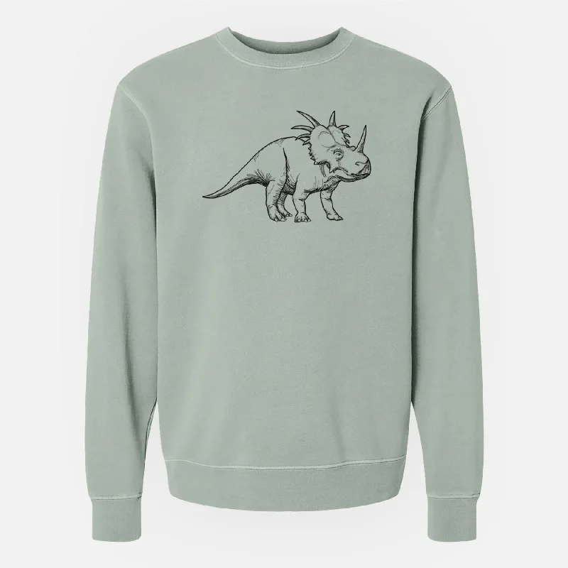 Festival SweatshirtsStyracosaurus Albertensis - Unisex Pigment Dyed Crew Sweatshirt